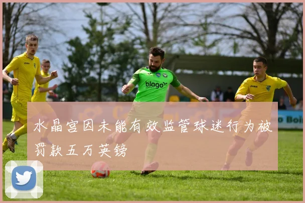 水晶宫因未能有效监管球迷行为被罚款五万英镑