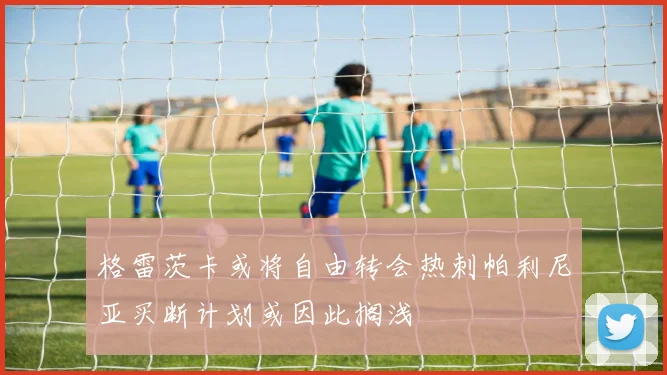 格雷茨卡或将自由转会热刺帕利尼亚买断计划或因此搁浅